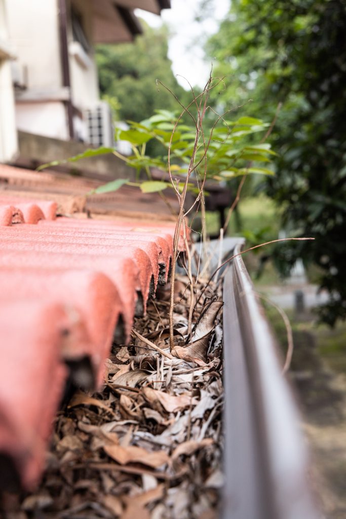 clogged roof rain gutter